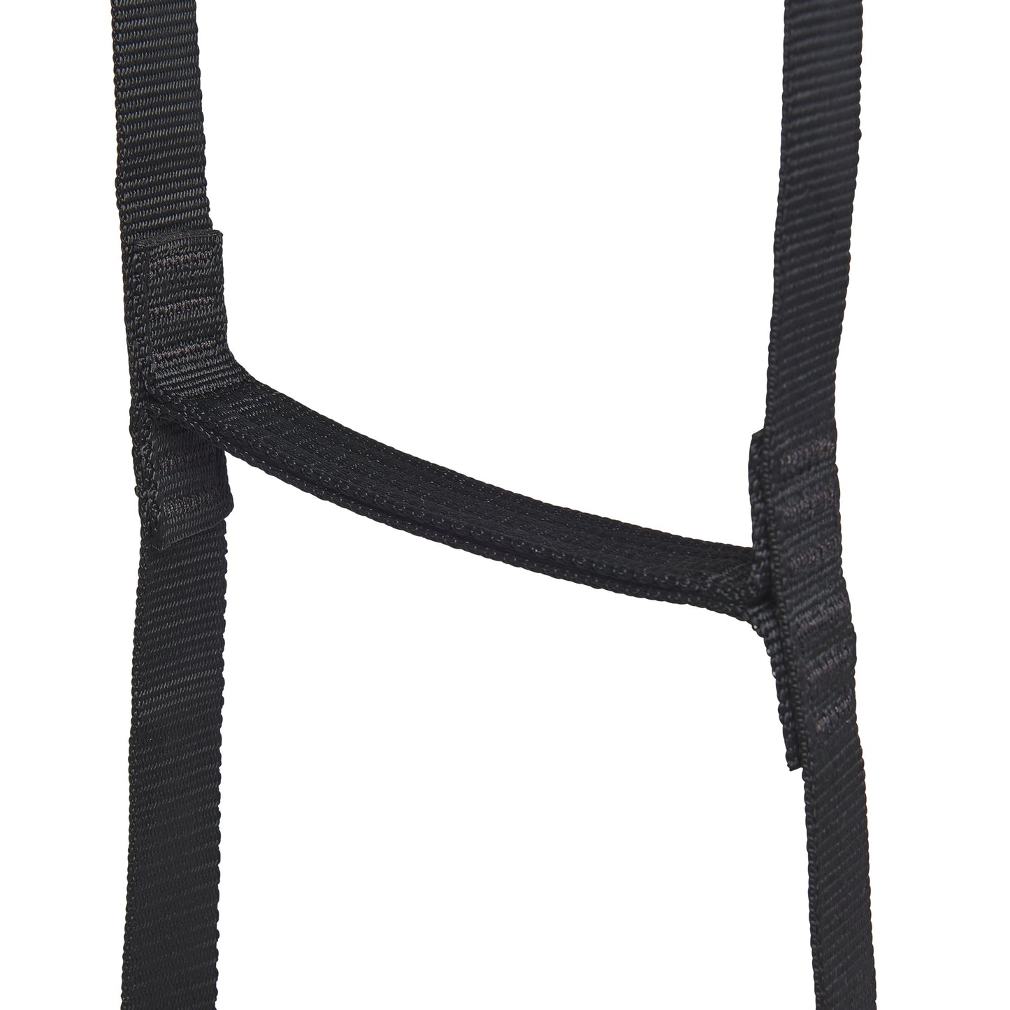 StepUp 6 Ladder