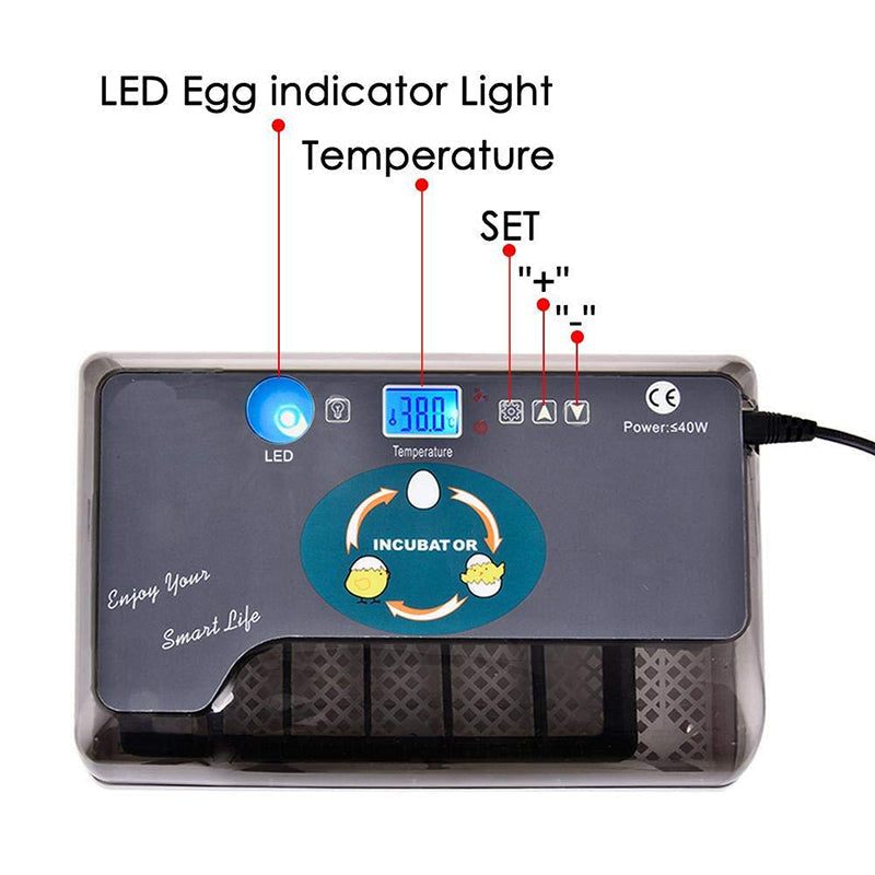 110V 12 Eggs Incubator