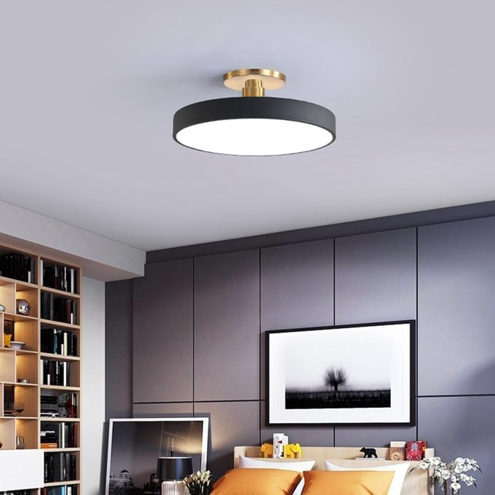 Modern Circular LED Flush Mount Ceiling Light With Iron Frame