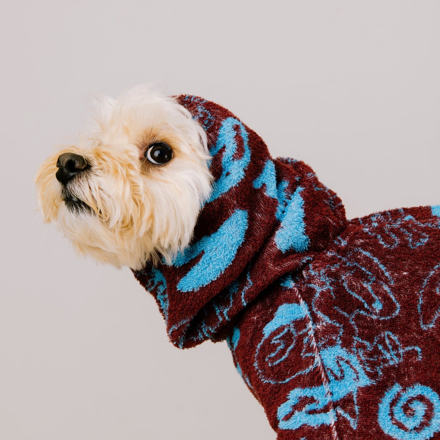 【Limited】DOGGY ROBE　SUNSET × MINT SODA