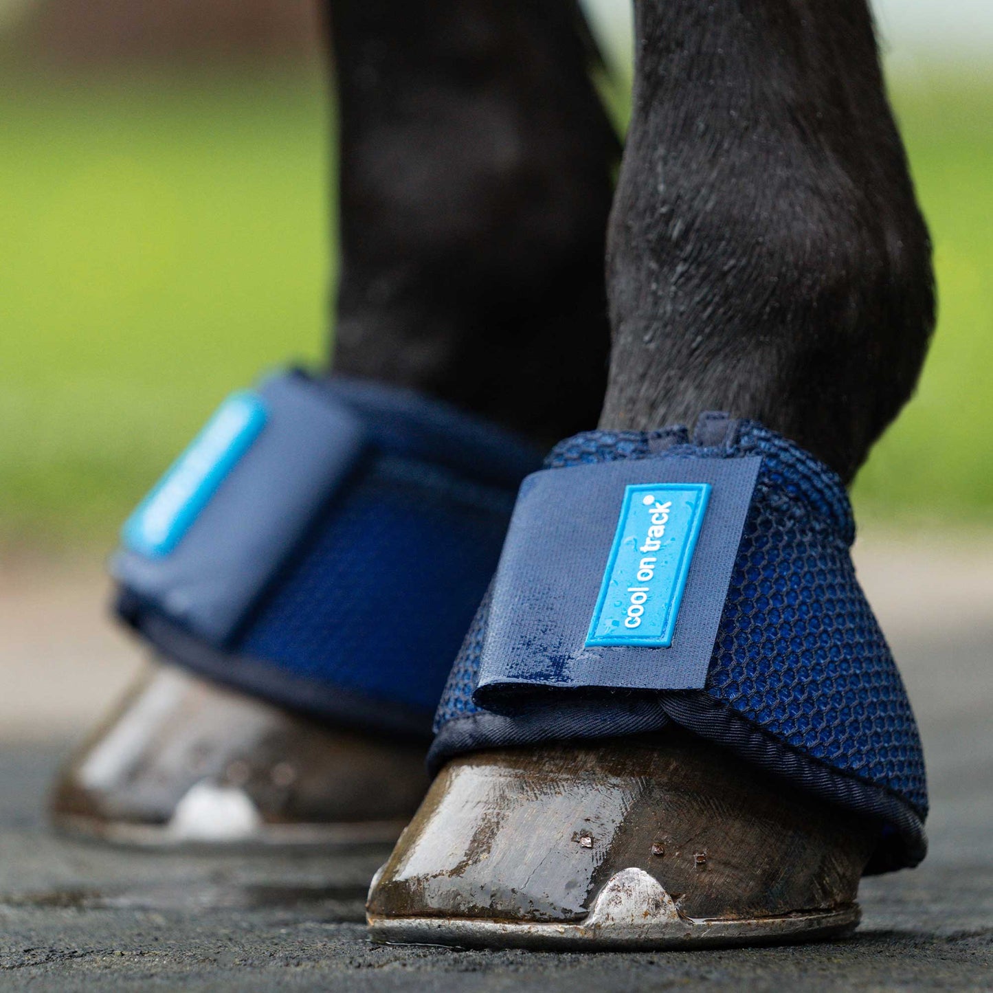 Cool on Track Bell Boots