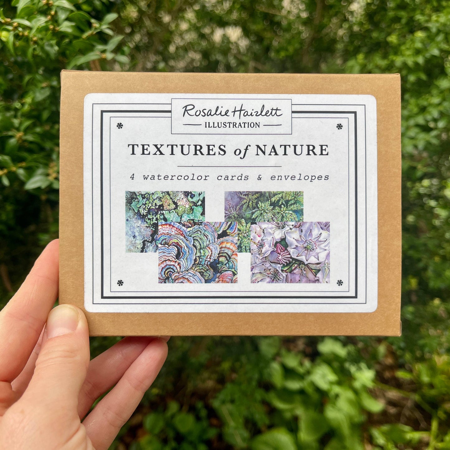 Rosalie Haizlett Illustration - Textures of Nature - Set of 4 Assorted Greeting Cards