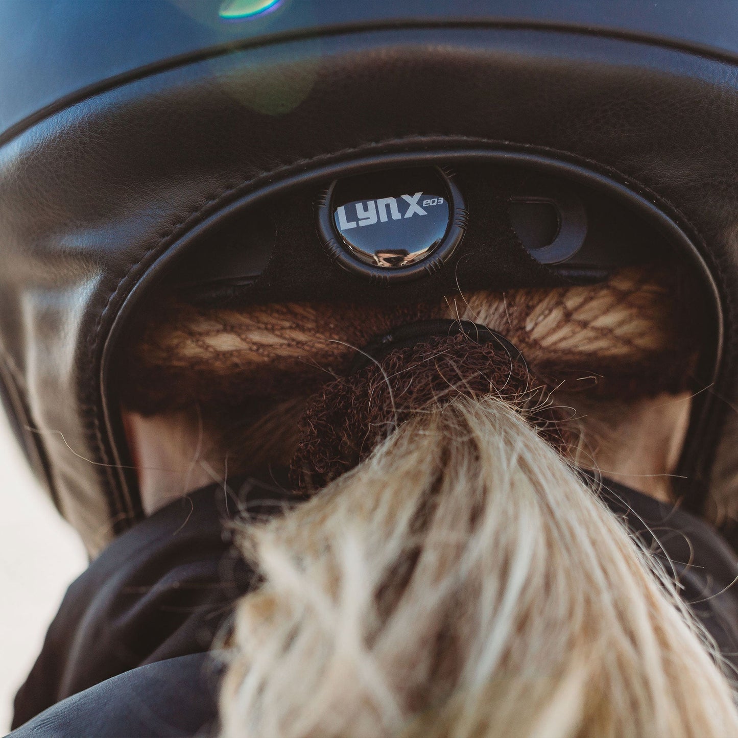 Lynx Smooth Top Riding Helmet