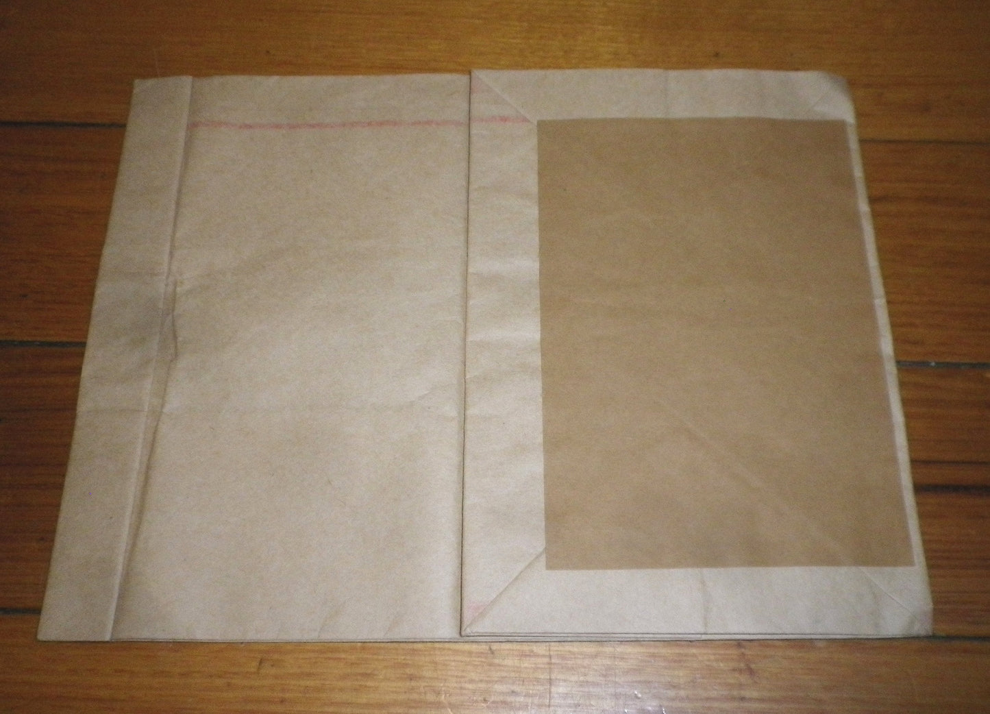Goblin Laser 200, 201, 203 Single Vacuum Cleaner Bag - Part # 49550007BG
