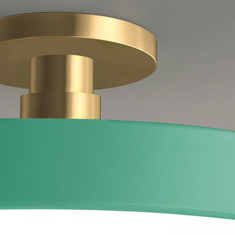 Modern Circular LED Flush Mount Ceiling Light With Iron Frame