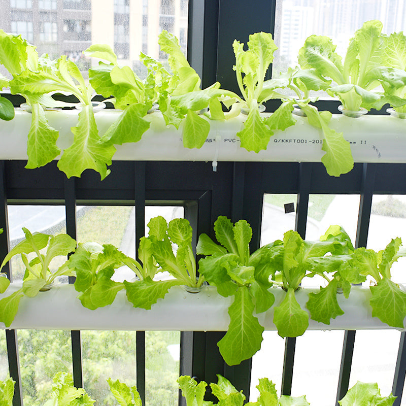 Hydroponic 54 Plant Site Grow Kit