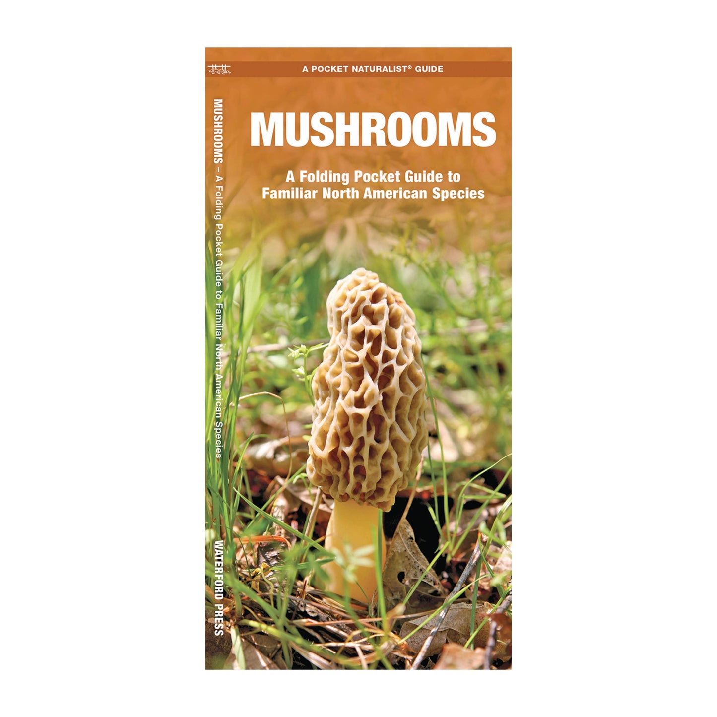 Waterford Press - Mushrooms