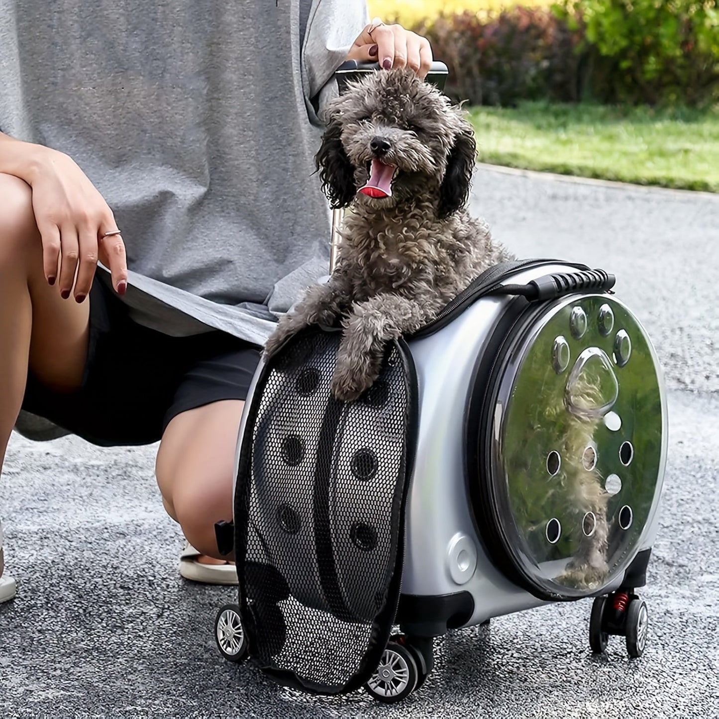 Expandable Pet Trolley Portable Carrier with Wheels-HEPV