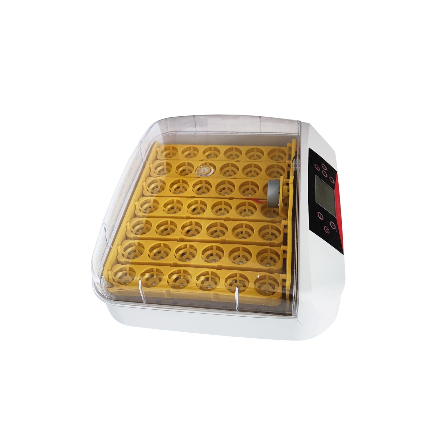 110V 42 Eggs Incubator