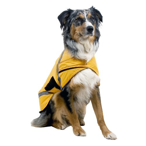 High Visibility Coat