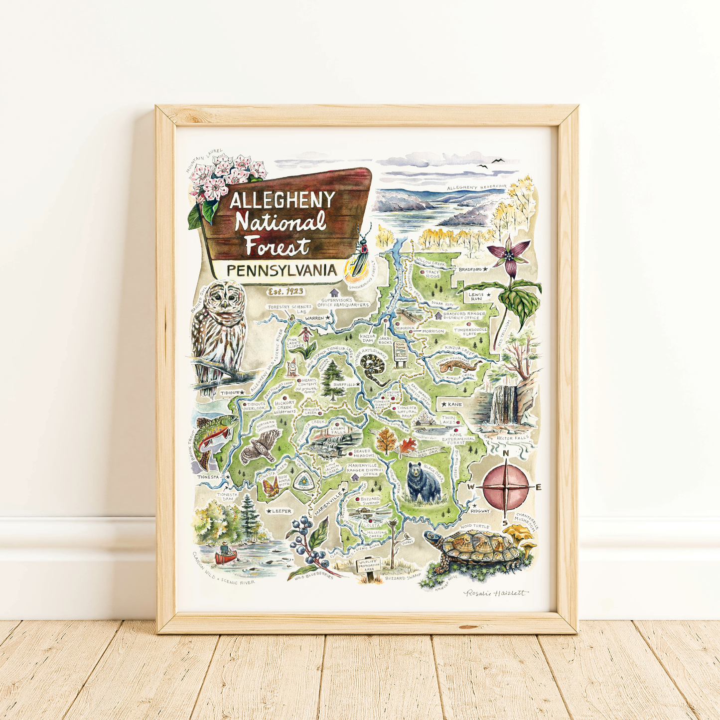 Allegheny National Forest Illustrated Map