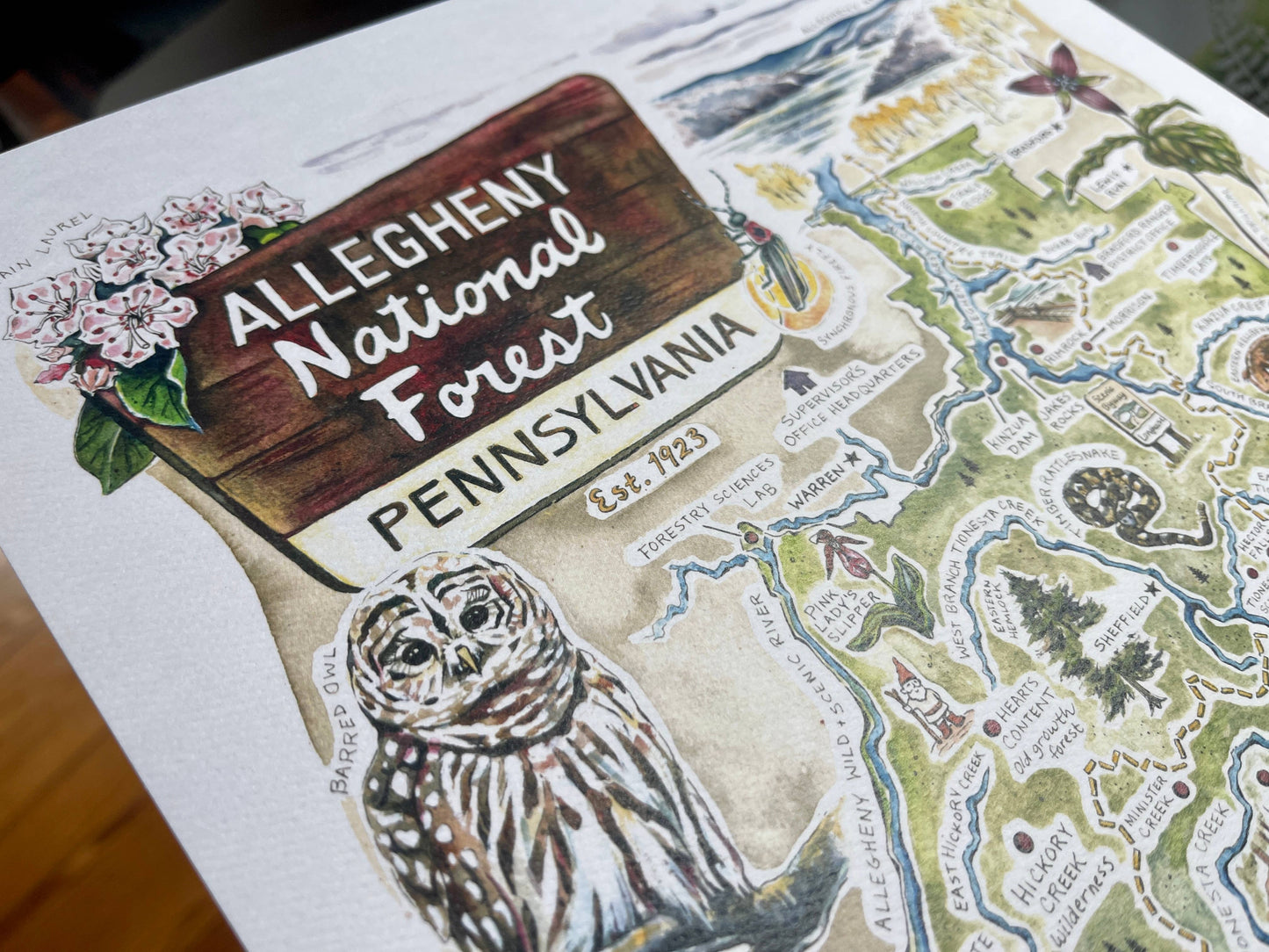 Allegheny National Forest Illustrated Map