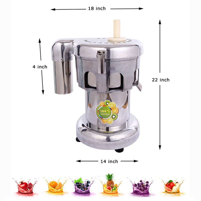 110V Commercial Fruit and Vegetable Juicer