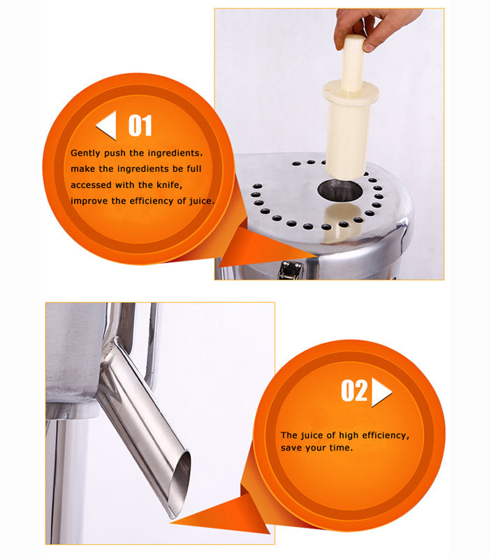 110V Commercial Fruit and Vegetable Juicer