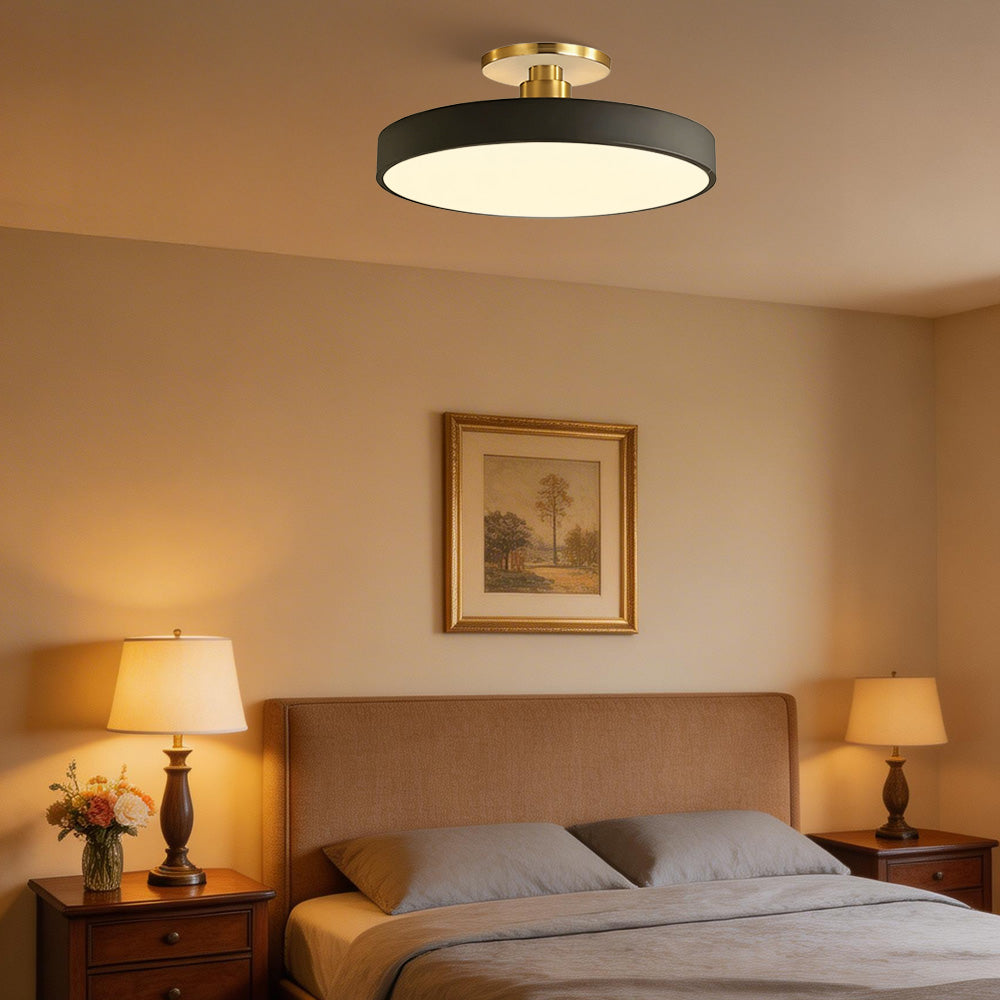 Modern Circular LED Flush Mount Ceiling Light With Iron Frame