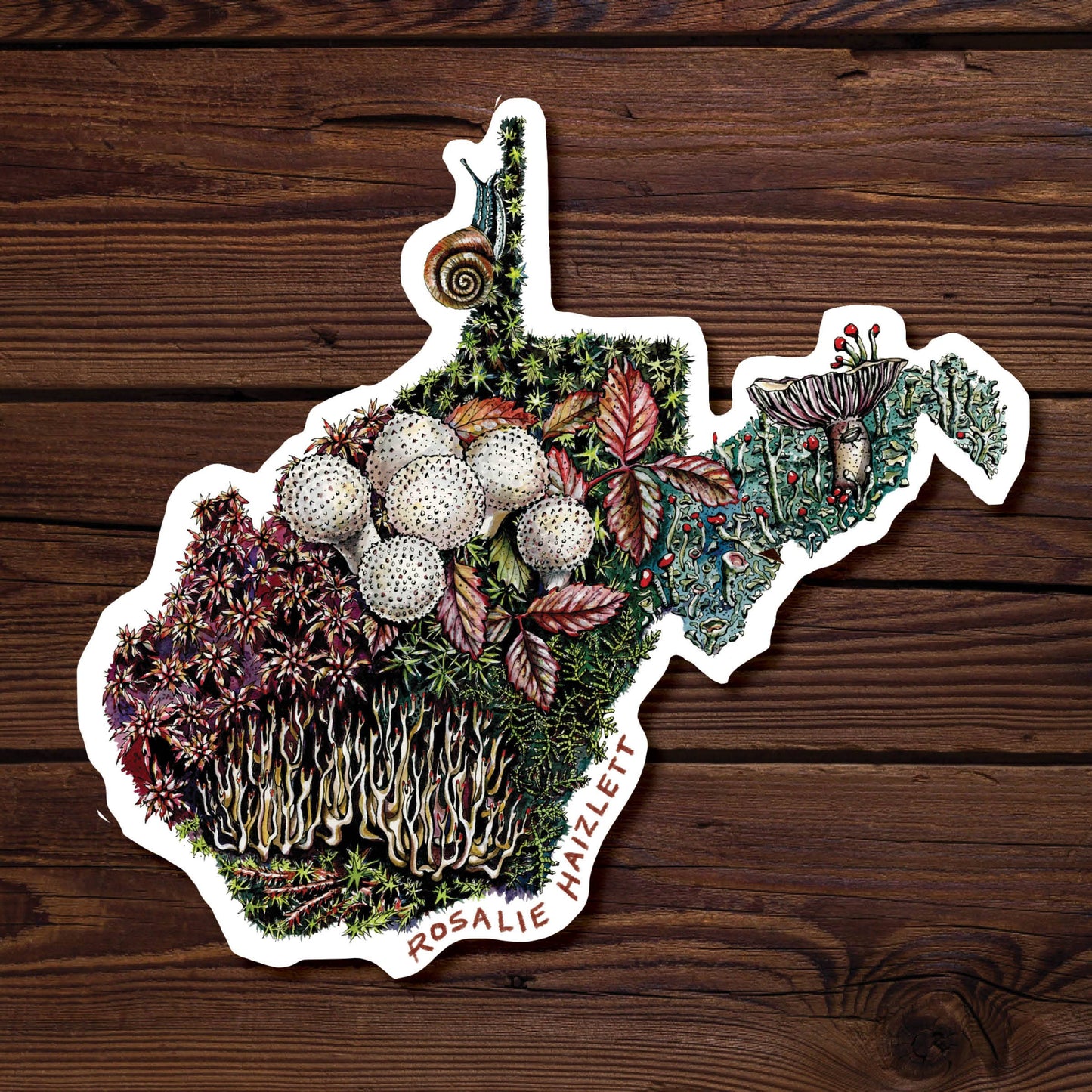 West Virginia Forest Floor - Waterproof Vinyl Sticker