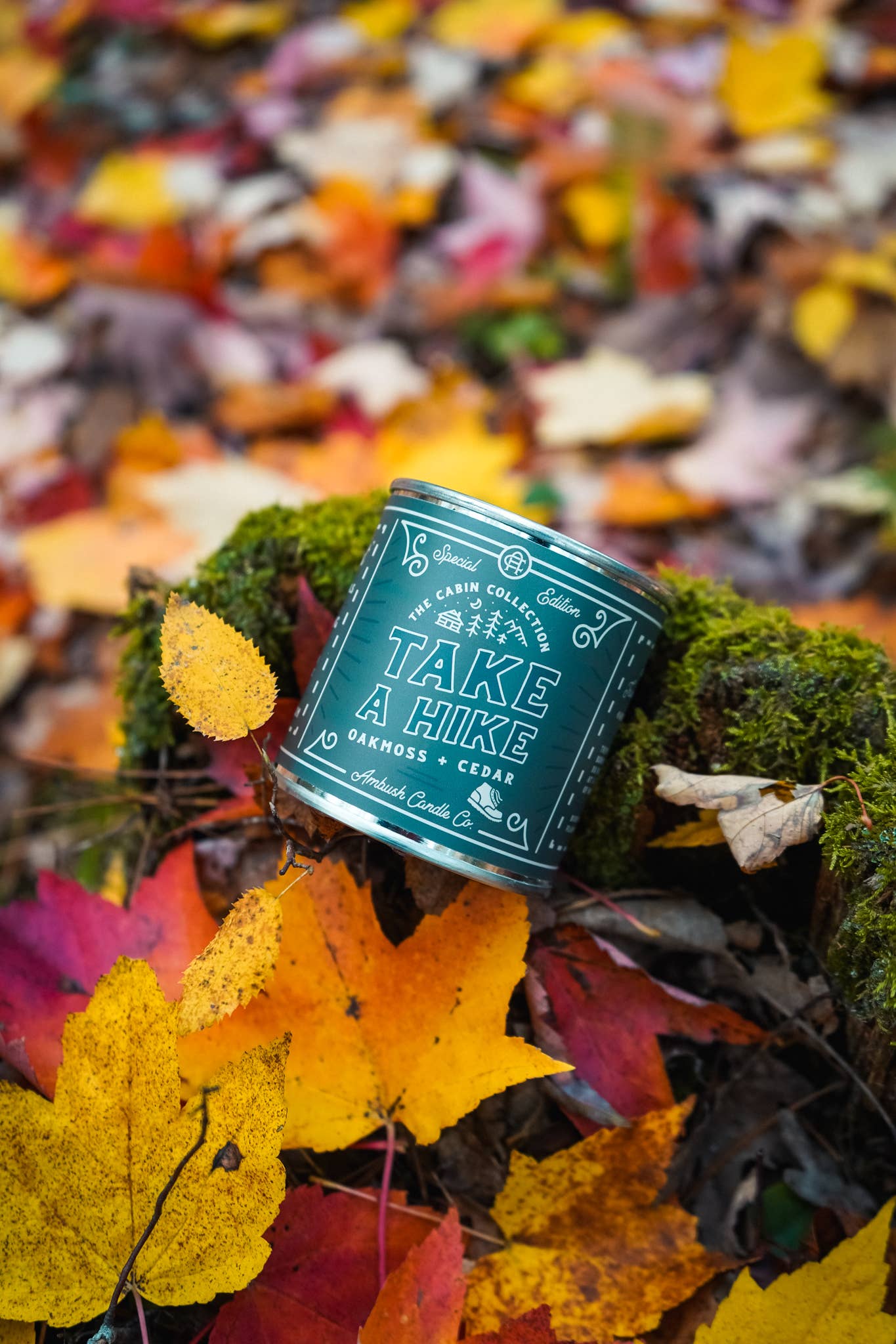 Ambush Candle Co. - Take A Hike | Oakmoss + Cedar 8oz Soy Candle