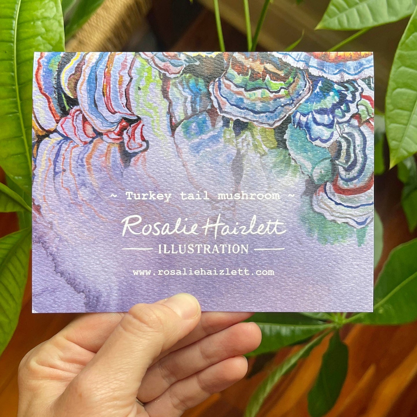 Rosalie Haizlett Illustration - Textures of Nature - Set of 4 Assorted Greeting Cards