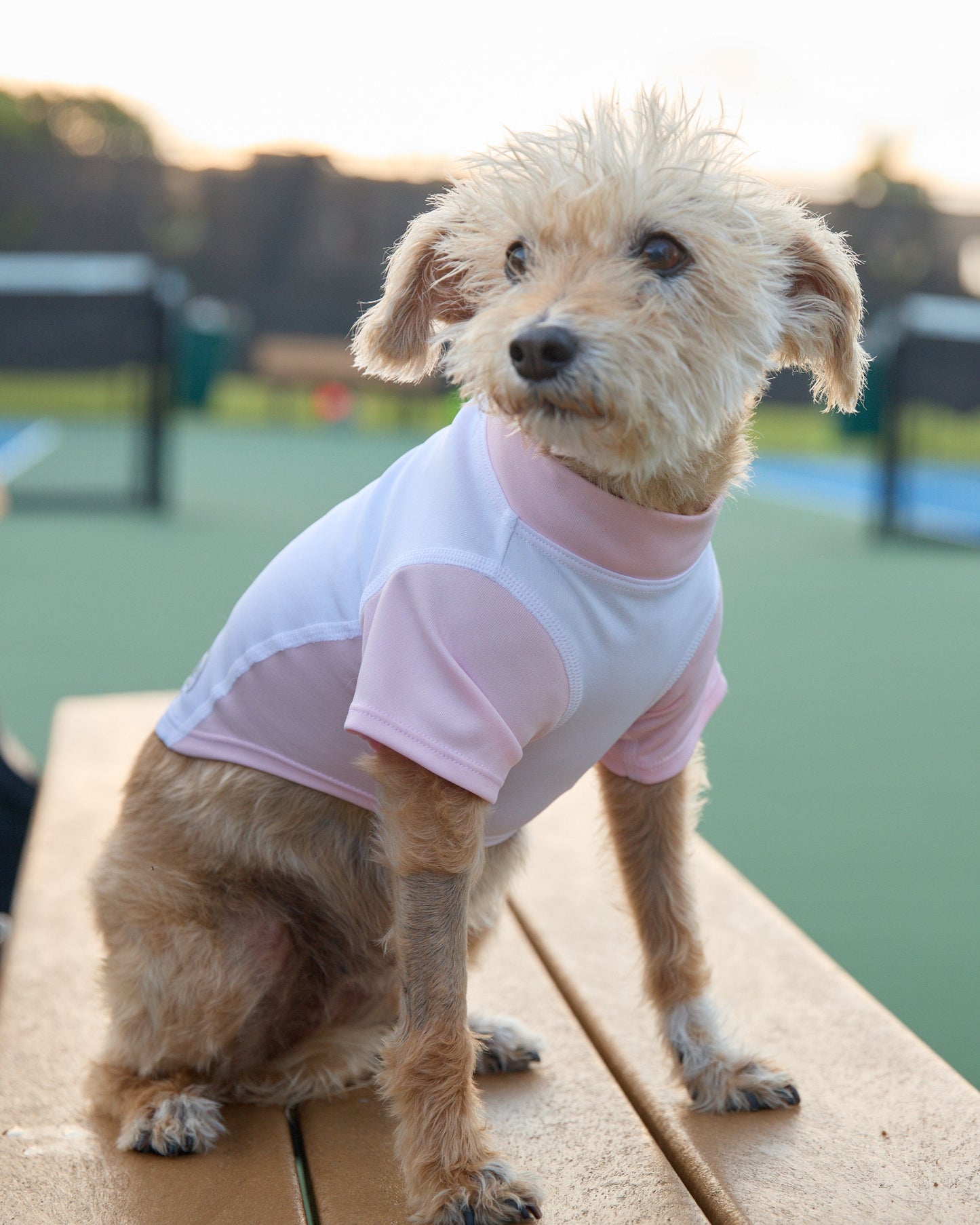 BarkUV -  UNISEX DOG SUN SHIRT (7000)