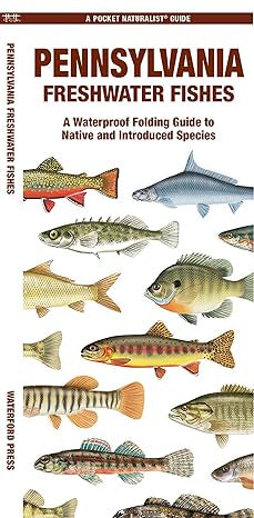 Pocket Naturalist Guide - Pennsylvania Freshwater Fishes
