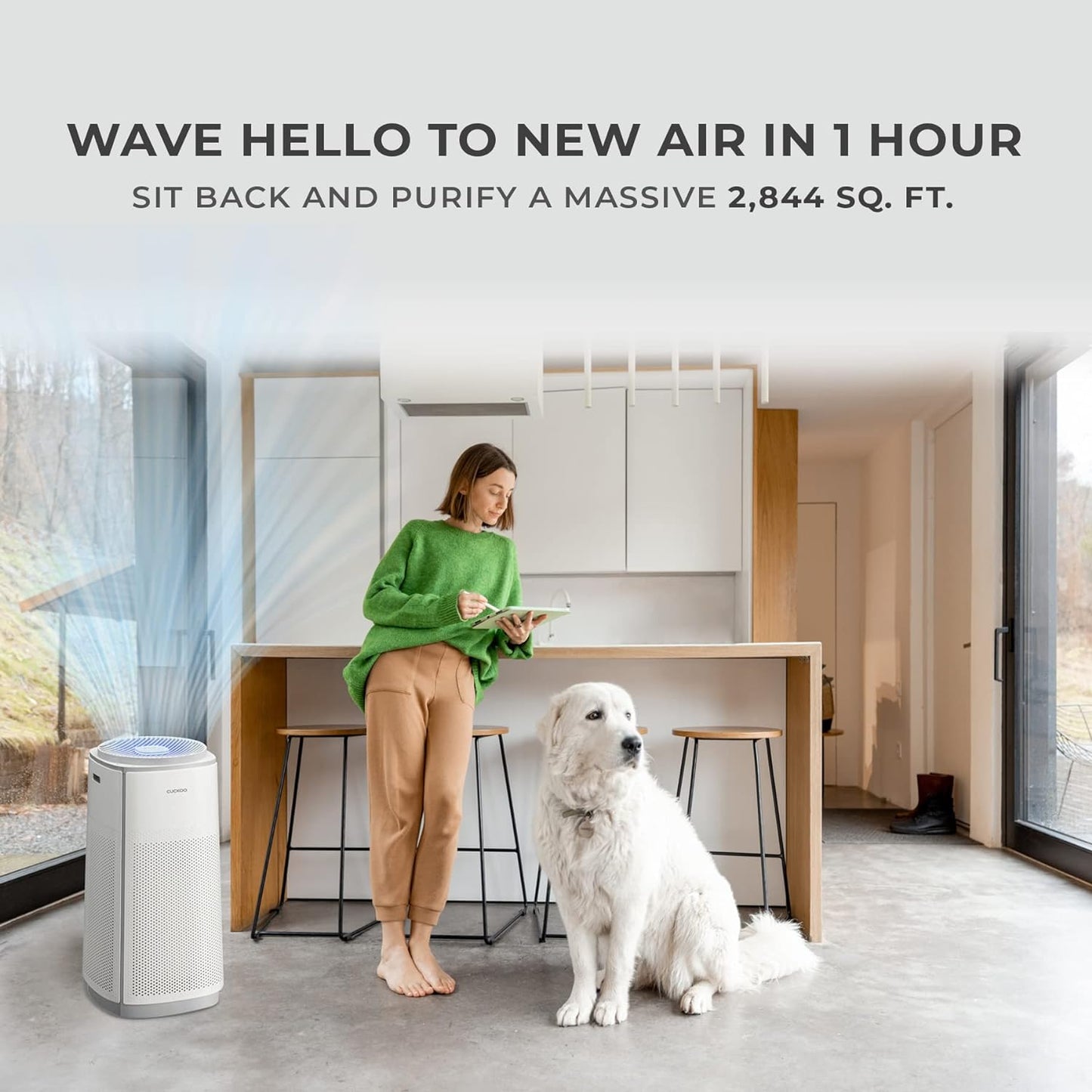 Refurbished B grade 5-Stage Filtration H13 True HEPA Air Purifier (CAC-K1910FW)