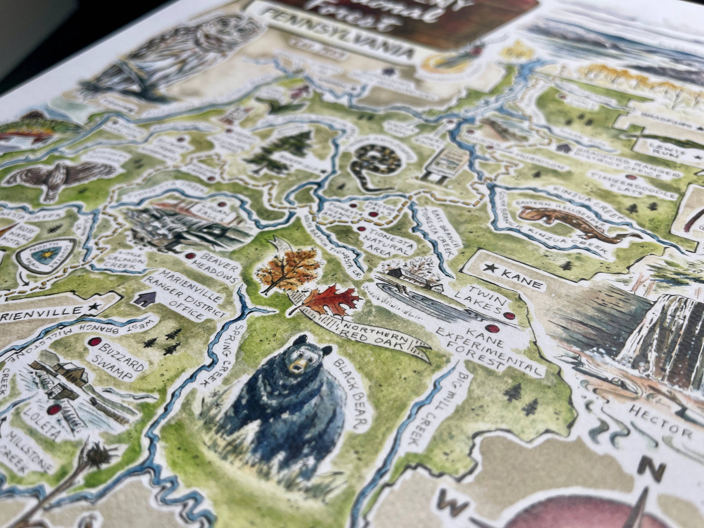 Allegheny National Forest Illustrated Map