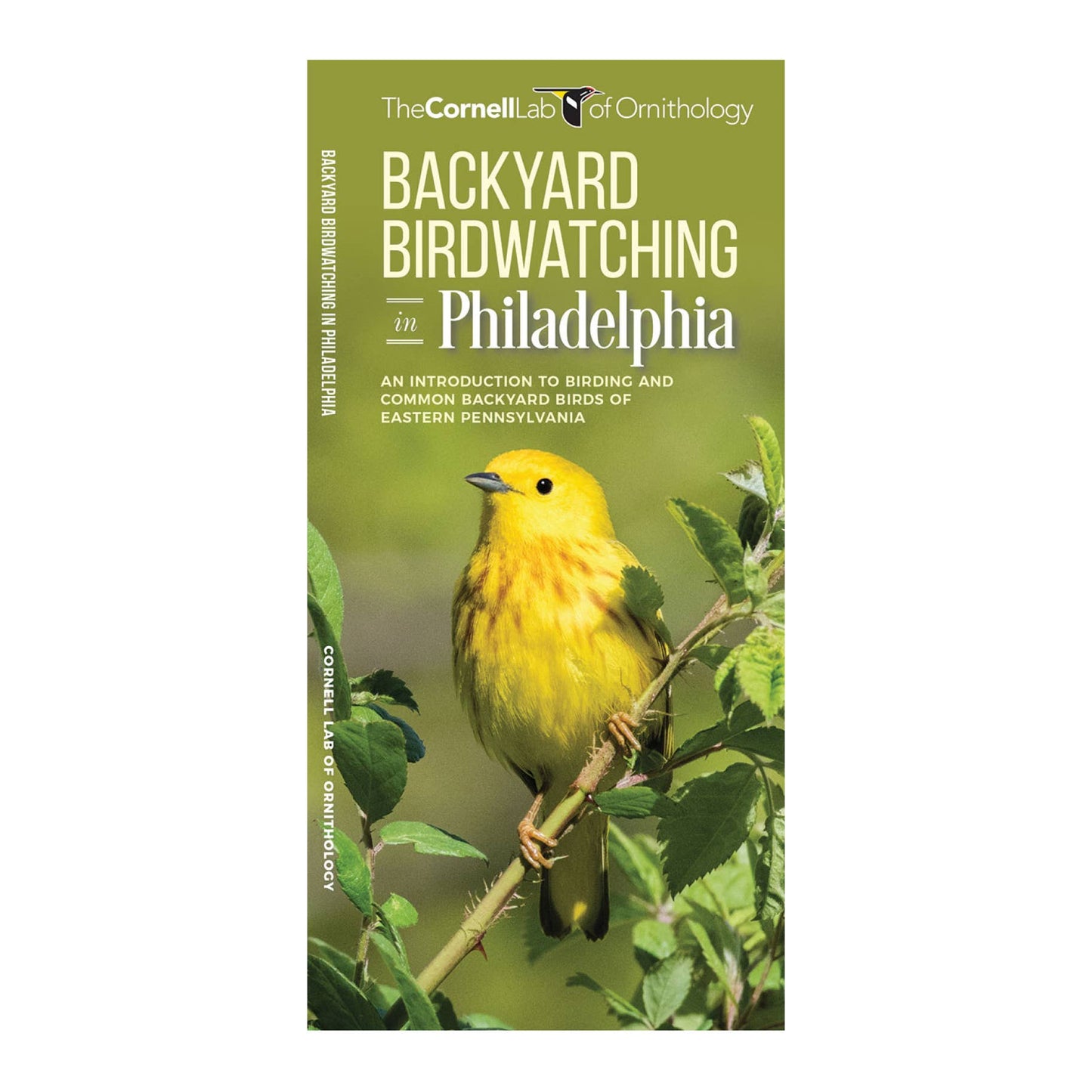 Waterford Press - Backyard Birdwatching in Philadelphia