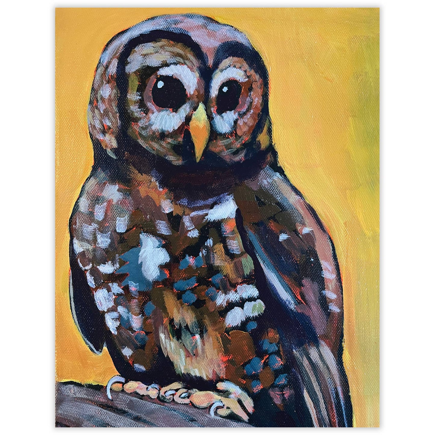 Waterknot - Spotted Owl Blank Notecard
