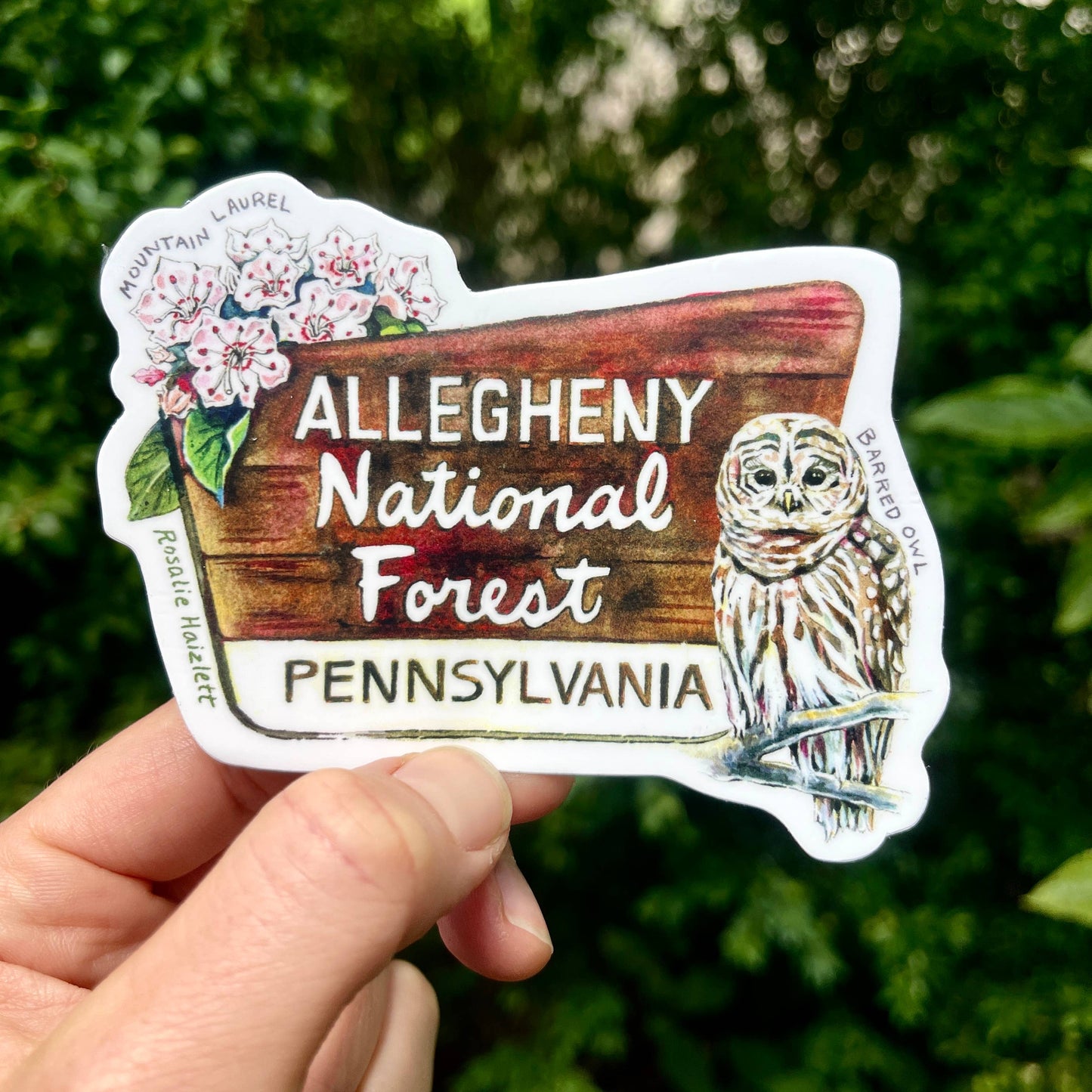 Allegheny National Forest Waterproof Sticker