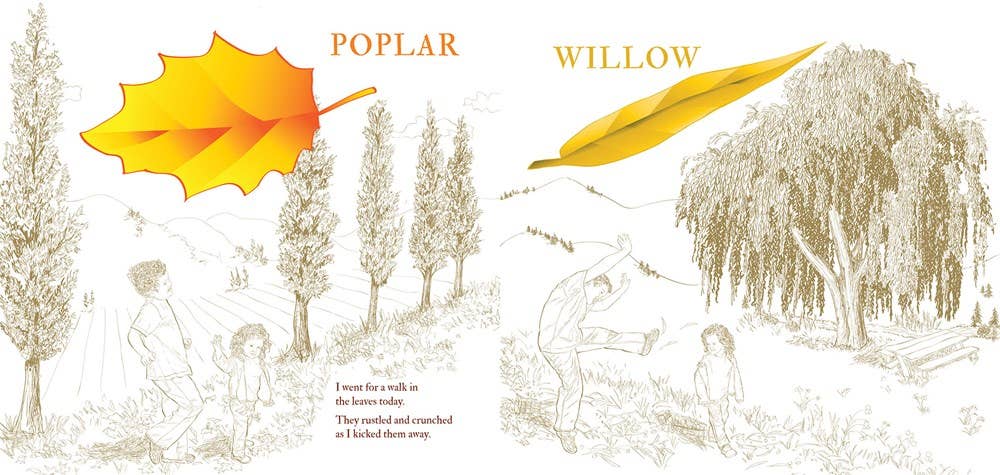 Fall Walk, paperback