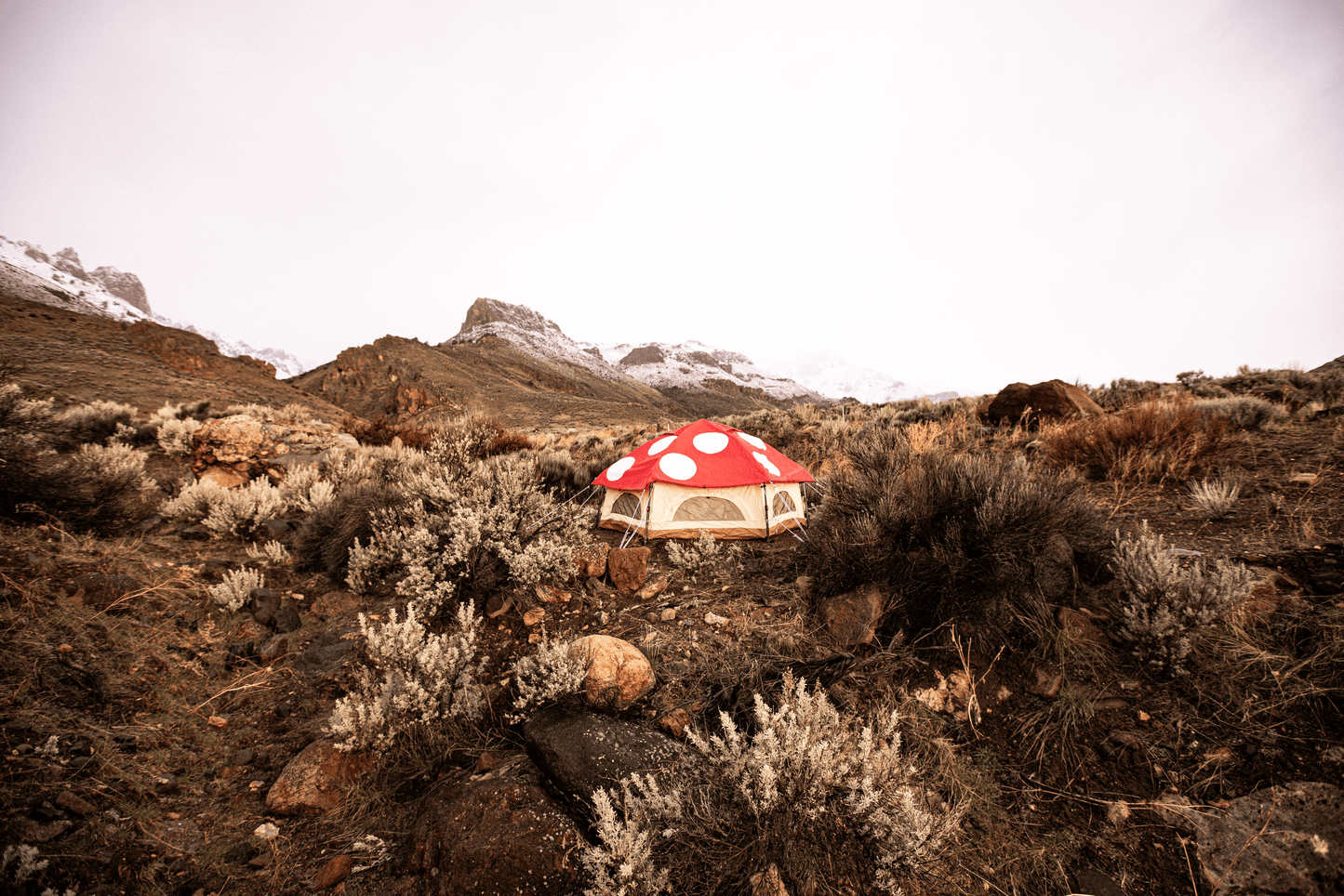 Kinoko Mushroom Tent (S)
