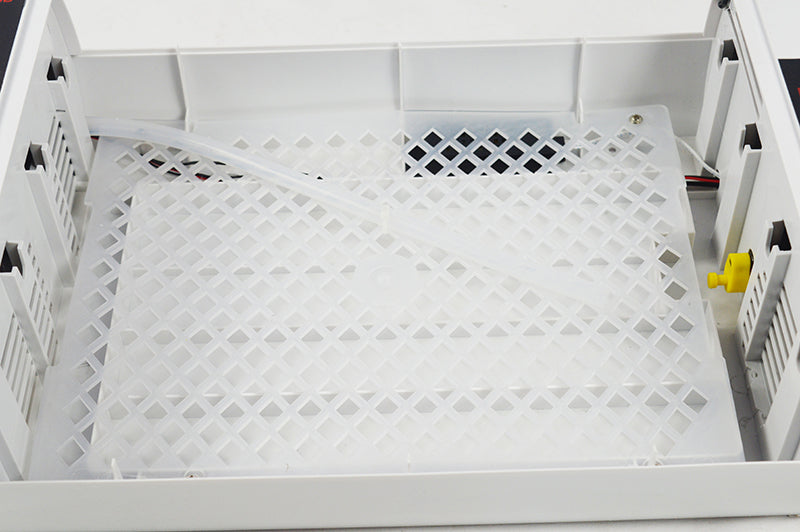 110V 24 Eggs Incubator