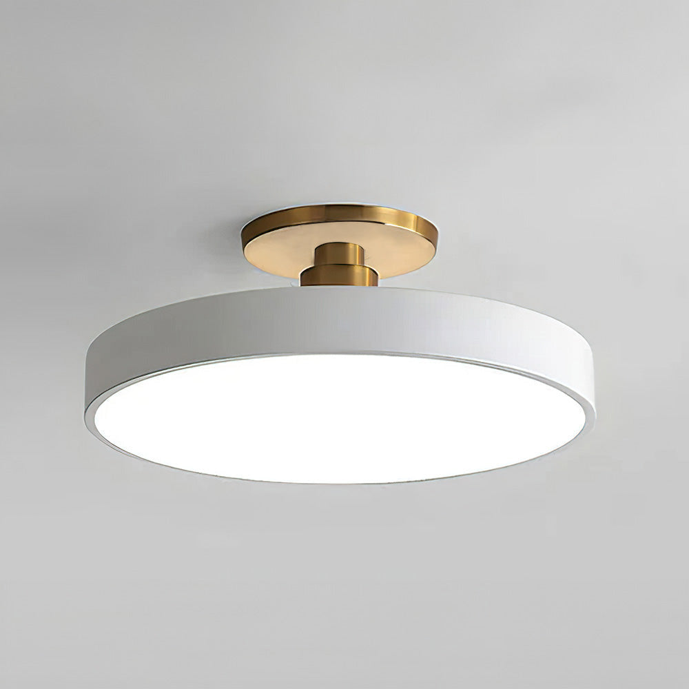 Modern Circular LED Flush Mount Ceiling Light With Iron Frame