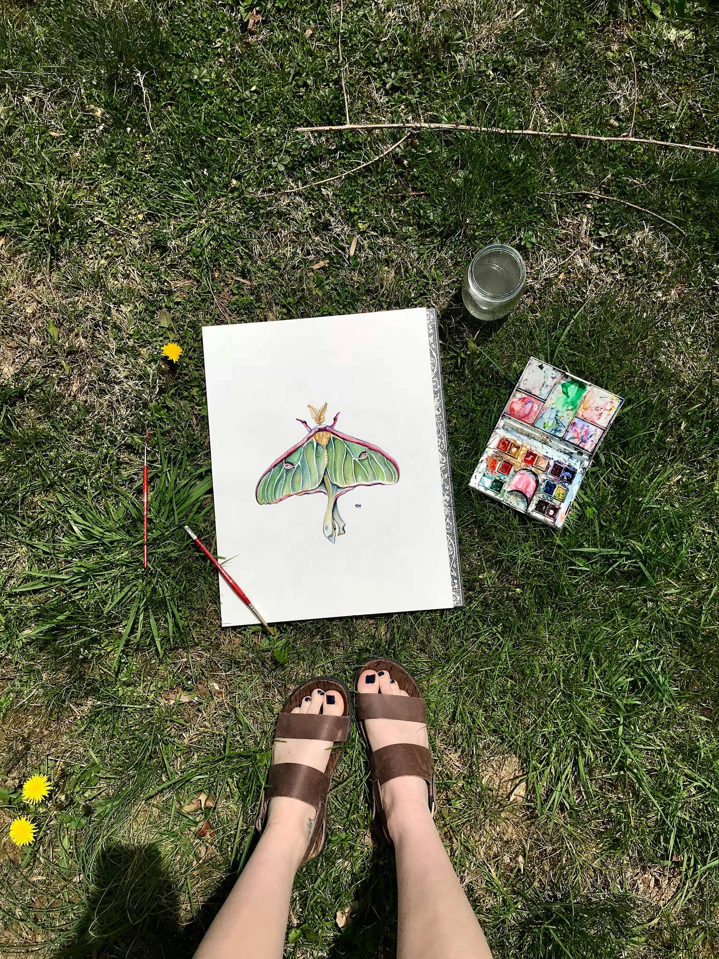 Luna Moth Watercolor Art Print
