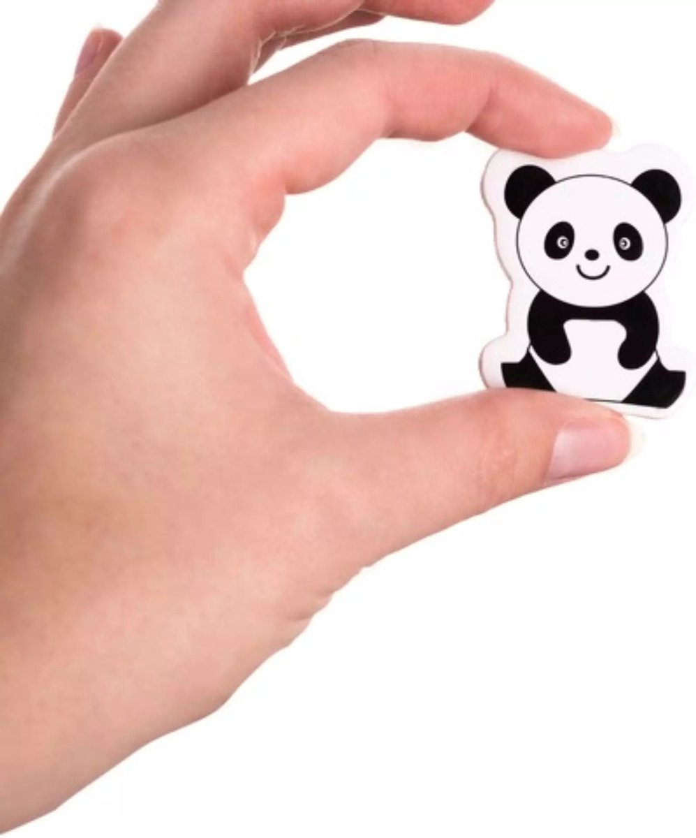 Kruzzel Natuur Magneten Set van 12 - Perfect voor Koelkast en Educatie