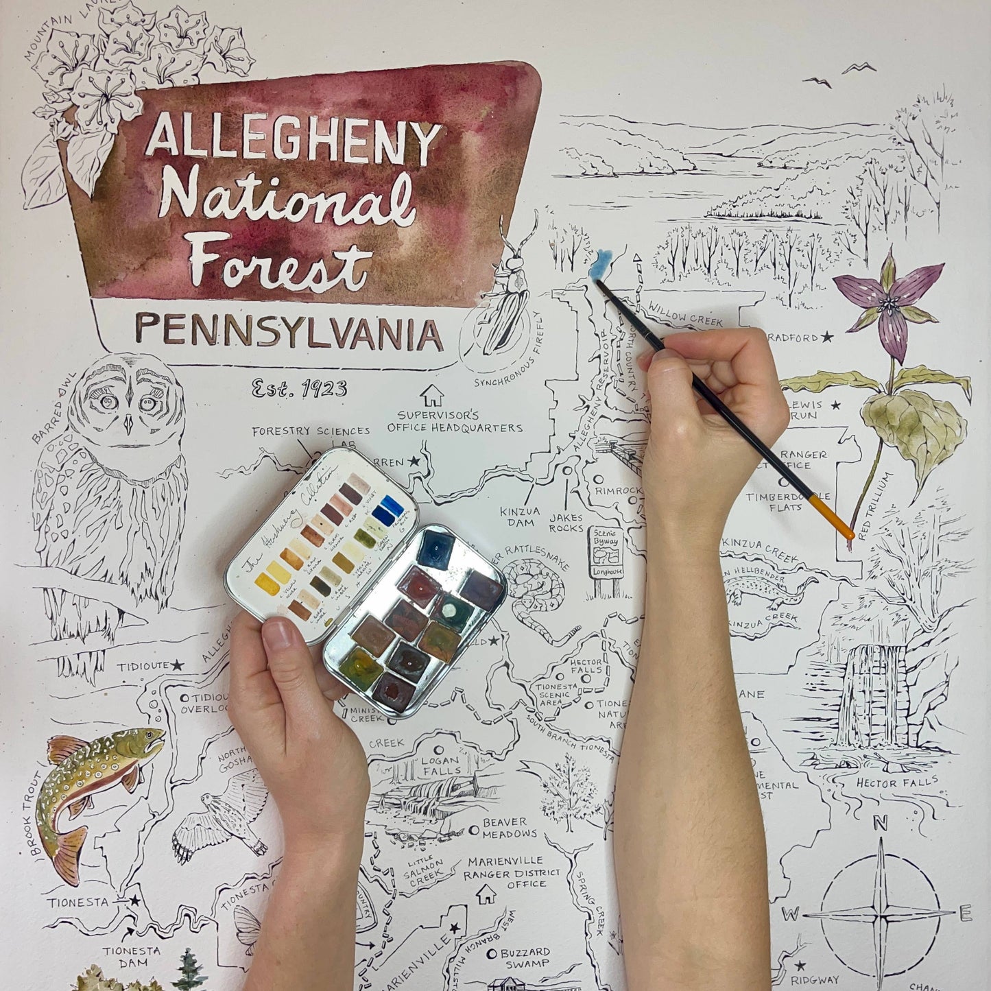 Allegheny National Forest Illustrated Map