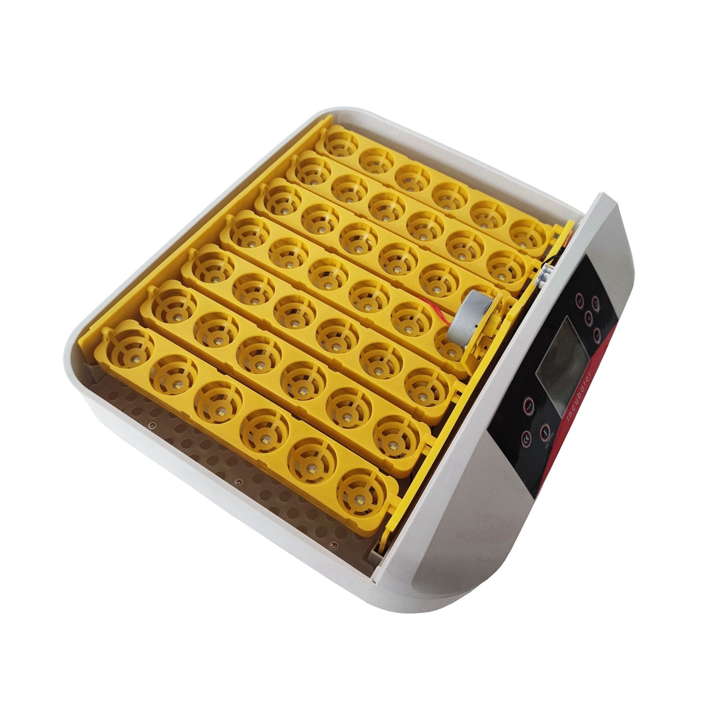 110V 42 Eggs Incubator