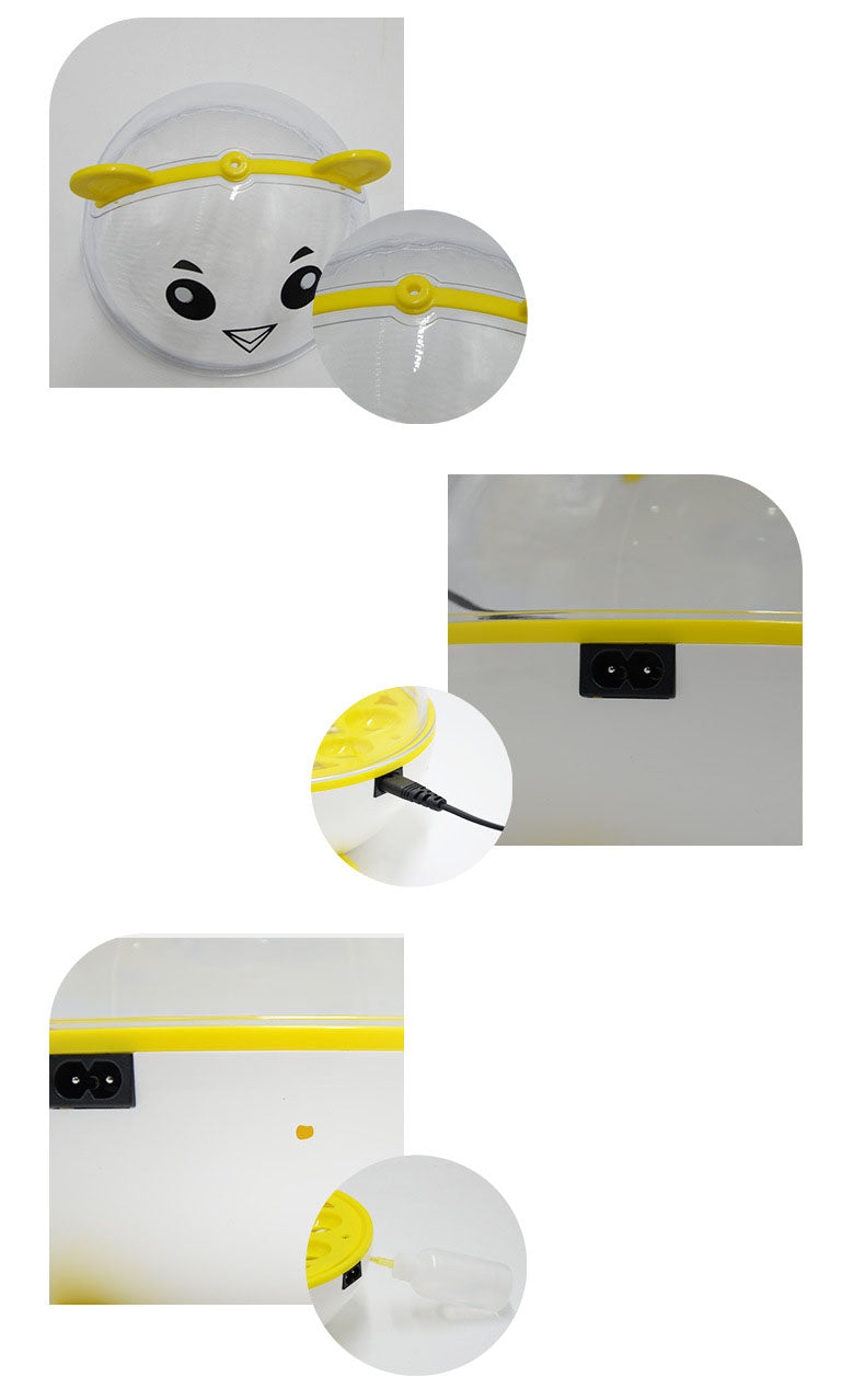110V 9 Eggs Incubator