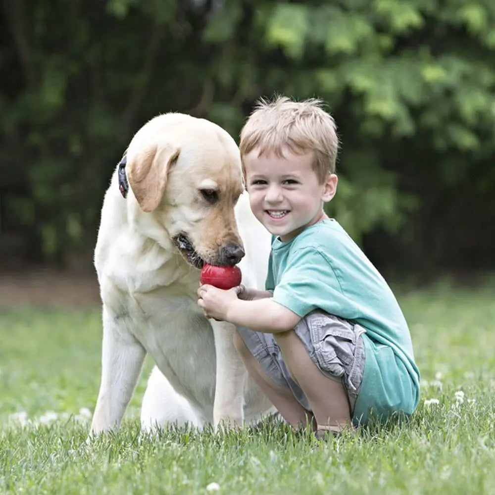 KONG Classic Rubber Dog Toy