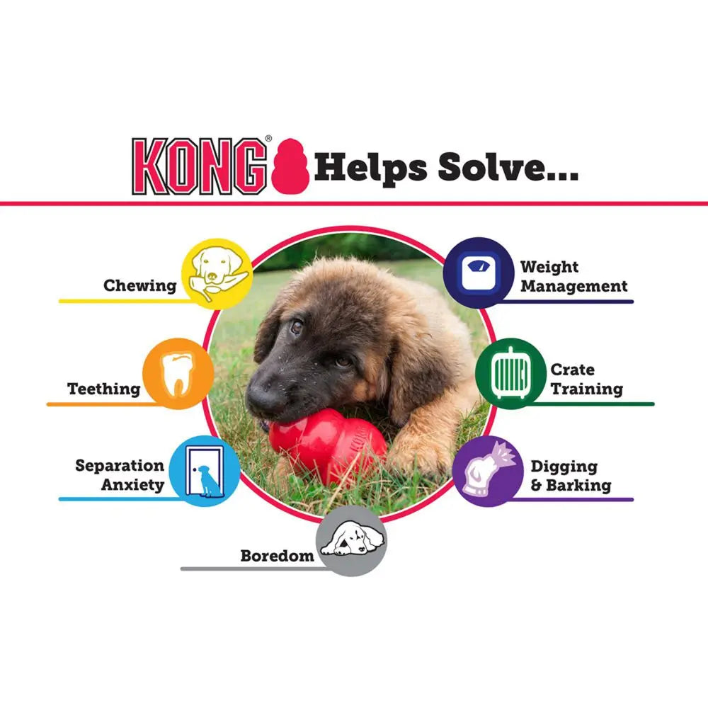 KONG Classic Rubber Dog Toy
