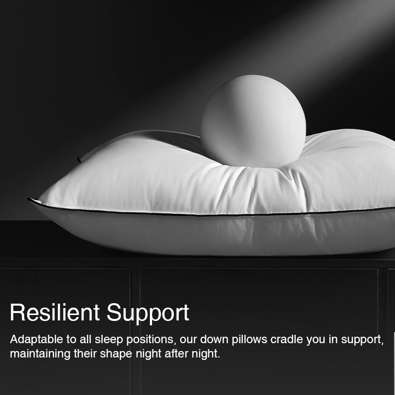 APSMILE Hybrid Memory Feather Down Pillow