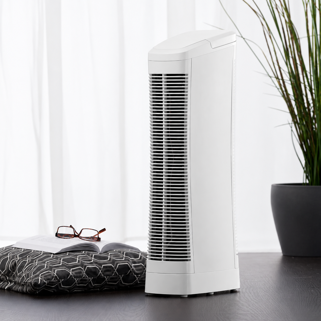 Ionic Air Purifier With Fan