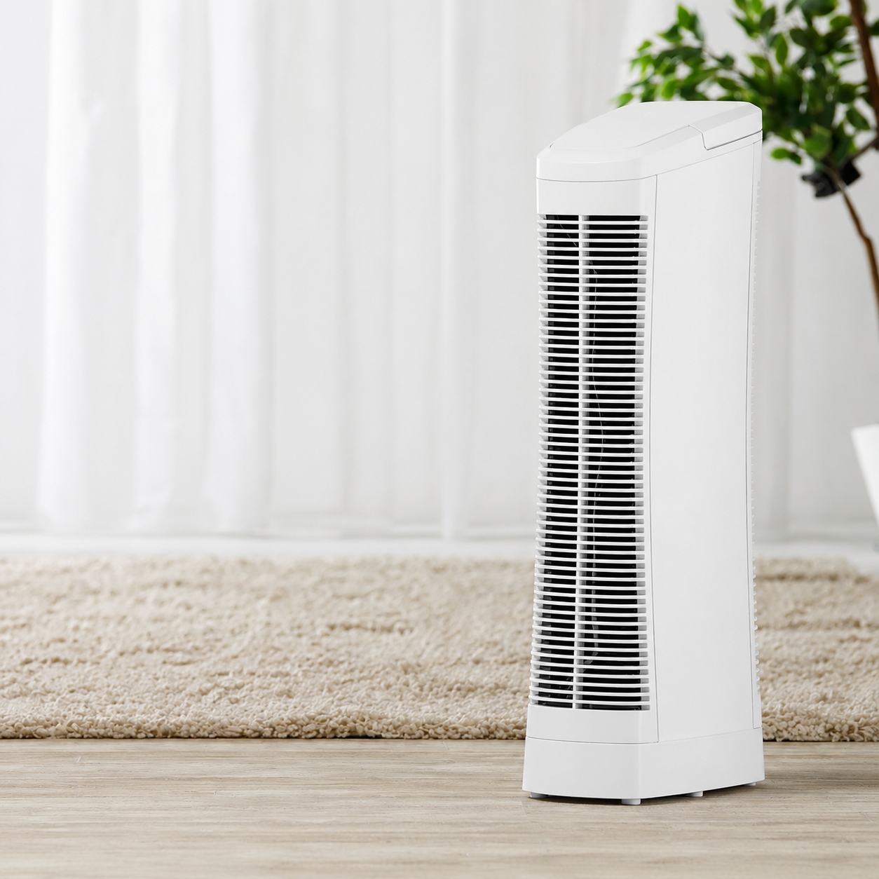 Ionic Air Purifier With Fan