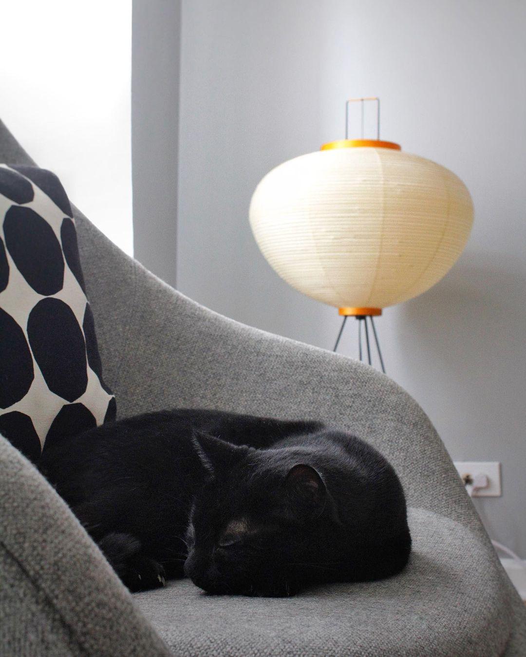 Rice Paper Floor Lamp With Tripod Stand