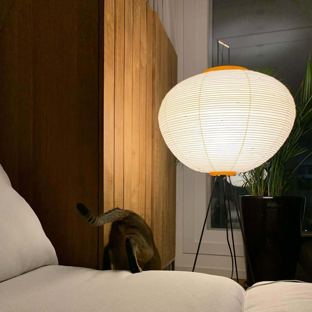 Rice Paper Floor Lamp With Tripod Stand