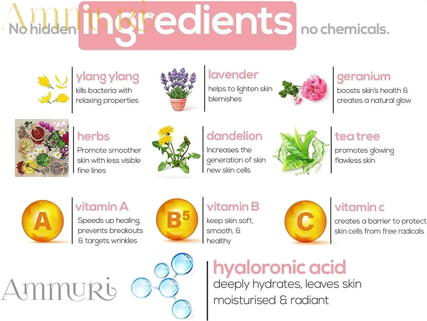 4% Retinol Face Serum with Apple Stem Cell Extract