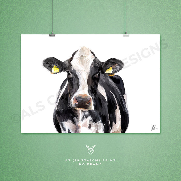 Holstein Friesian Dairy Cow