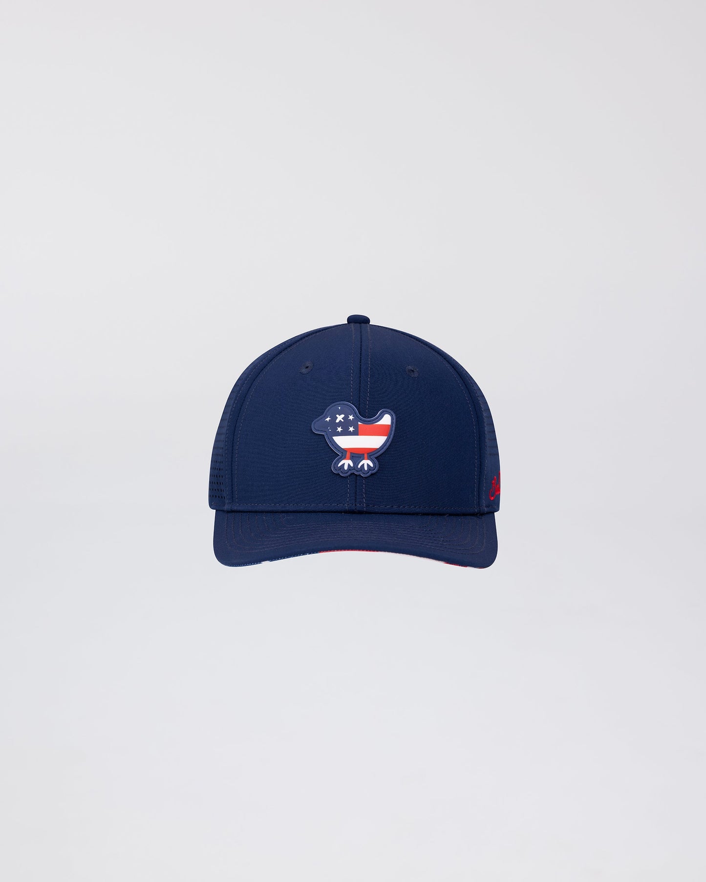 Birdie Snapback - Team USA