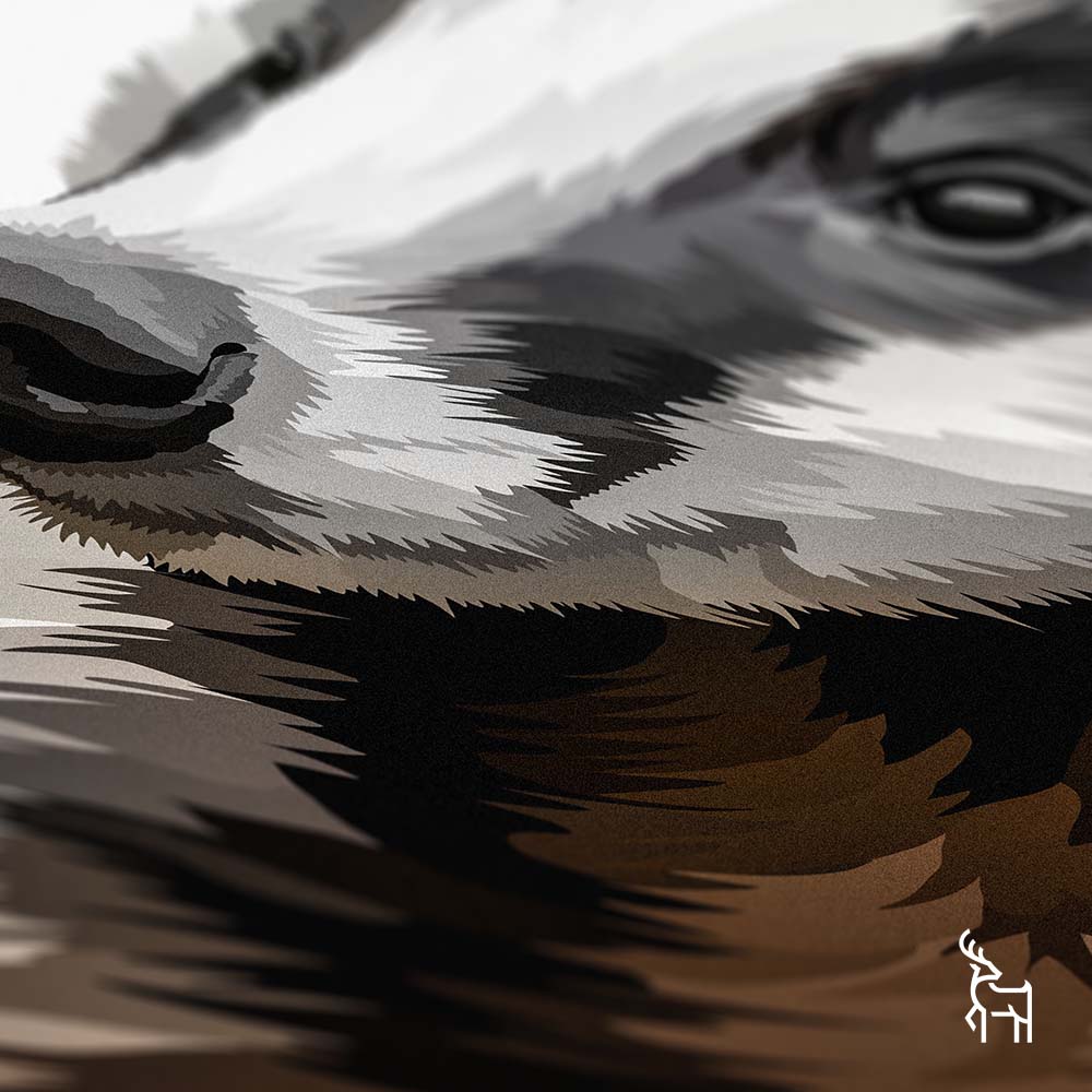 Badger