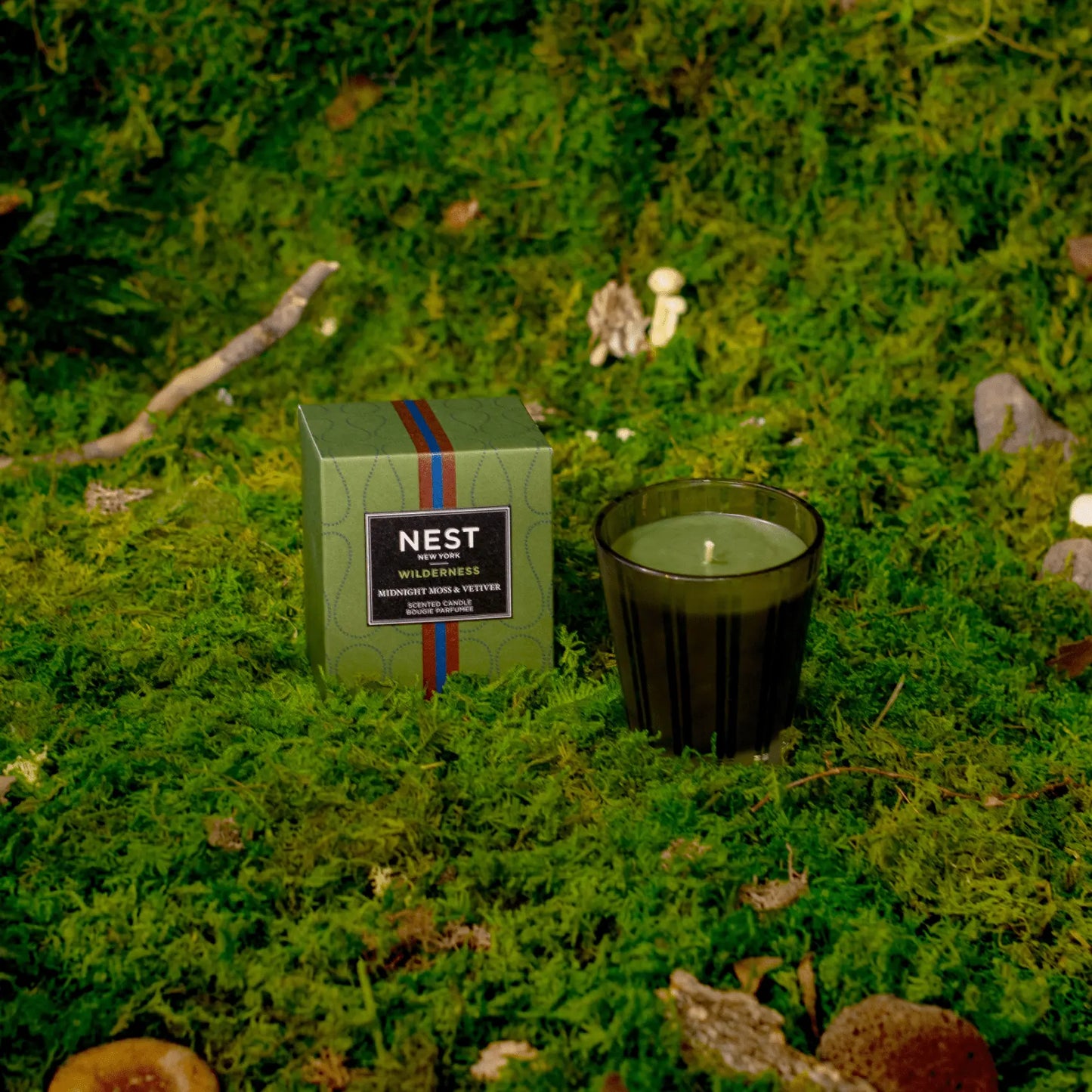 Bearaby x NEST New York